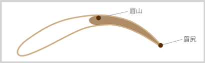 (Ｓｔｅｐ.１)眉山から眉尻までを描く